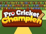 Pro Cricket Champion Game Online